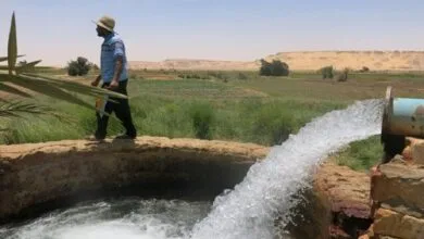 چاه‌های کشاورزی بخش مرکزی ساوه برق‌دار شدند