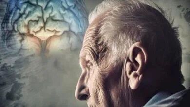 اجرای برنامه ملی آلزایمر در فرصت طلایی پیشگیری و مداخله تا سال ۱۴۰۹/توسعه تحقیقات نوروAI در کشور اجرای برنامه ملی آلزایمر در فرصت طلایی پیشگیری و مداخله تا سال ۱۴۰۹/توسعه تحقیقات نوروAI در کشور