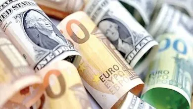 سهم ۱۱ میلیارد یورویی برای واردات کالاهای اساسی و دارو
