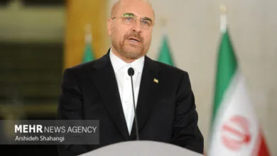 قالیباف: ارز واردات خودرو به ۳ میلیارد دلار افزایش یافت