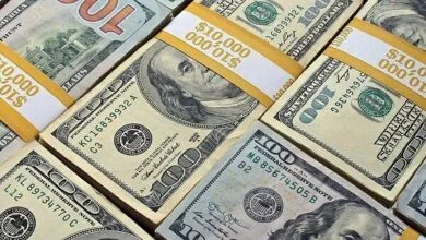۶۹۵ میلیون دلار ارز برای واردات تامین شد