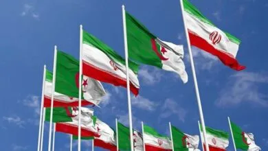 تقویت روابط اقتصادی تهران – الجزیره؛ فرصتی تازه در سایه دیپلماسی فعال