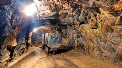 آمادگی ایران برای ایجاد فضای مشترک همکاریهای معدنی با آفریقا آمادگی ایران برای ایجاد فضای مشترک همکاریهای معدنی با آفریقا
