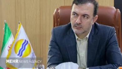 سرمایه صندوق ضمانت صادرات باید به یک میلیارد دلار افزایش یابد