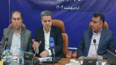 آزادسازی نرخ گندم شامل ماکارونی نمی‌شود