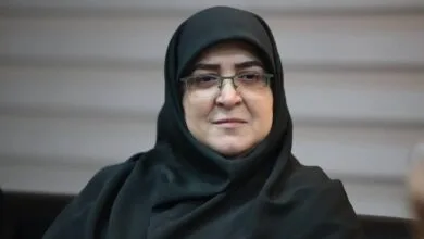 واردات خودرو به تصویب هیئت دولت رسید