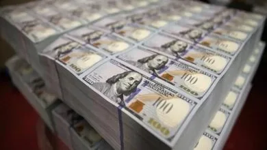 صنعت خودرو ۲ میلیارد دلار ارز گرفت